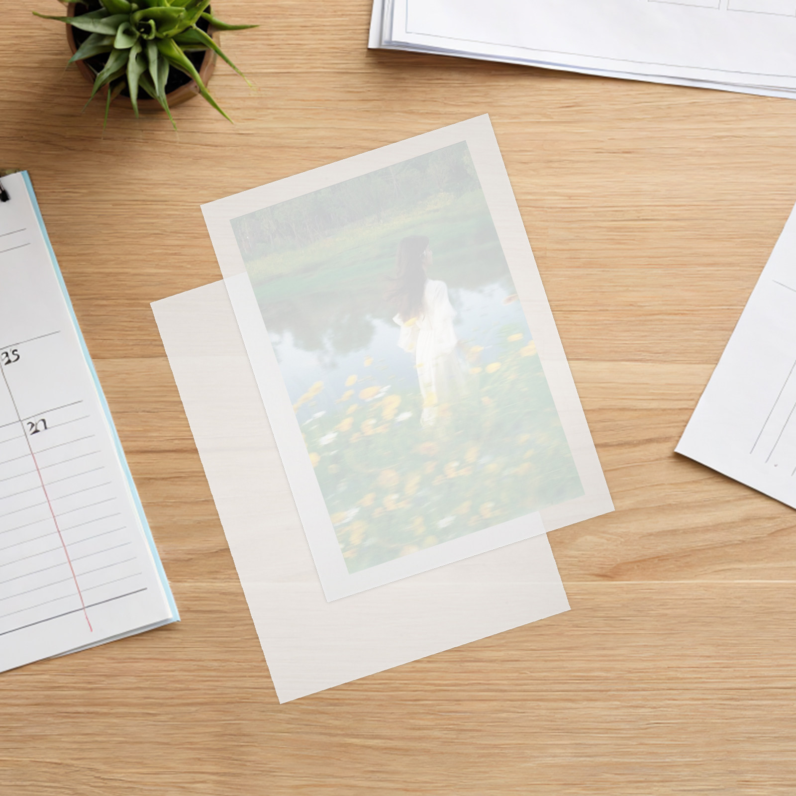 ซองเคลือบบัตร A4 100 แผ่น ฟิล์ - Document Laminator Pouch บทวิจารณ์และราคา
